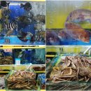 가락시장역6번출입구 | 가락시장 횟집 가락몰 수산시장 영흥수산 대방어모듬회 추천