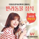 24시 더블유 동물의료센터 이미지