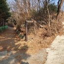 법성공원 Daum카페