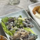 오동동109 | 마산 오동동에서 먹은 것들. 쌍둥이통술 | 대영통닭 | 어전 (풍자 또간집)