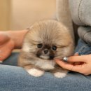 남구-045 이미지