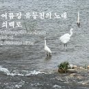 「어류ノ조류」 싱그러운 여름강 유등천의 노래, 무념무상 쇠백로 이미지