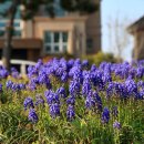 신안자동차 이미지