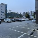 차차 101(CHACHA 101) 이미지