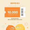 샤이넌글라스 이미지