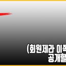 애니몰로