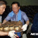 조성봉농장 뉴시스