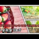 황제농장2 이미지