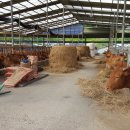 공골농장 이미지