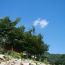 산여울민박 이미지