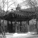 창원 성주사 동종 이미지