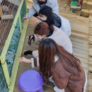 우성목장 2 이미지