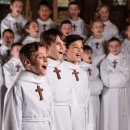 파리나무십자가 소년합창단 이미지