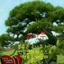 동네지게차