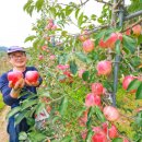 김종후농장 이미지