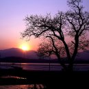 머리사랑 이미지