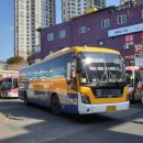 주정차116 이미지