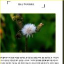 치아살리기 드림365치과의원 이미지