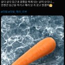 더썸 이미지