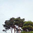 풍납 백제문화공원 | 서울 - 풍납 백제문화공원
