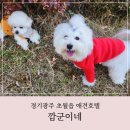 깜군이네 펫시터 | 경기광주 애견호텔 깜군이네 펫시터 강아지 호텔링 이용 후기