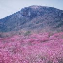 이동신협 앞 이미지