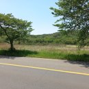 판문동5 이미지