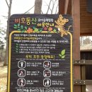 [대구아기랑갈만한곳/경산숲체험] 대구대 비호동산 유아숲체험원 솔직후기