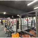 대한권투체육관 이미지