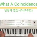 What A Coincidence 냉정과 열정사이 (F-62) DGX-670 이미지