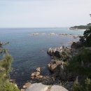 천학정 민박 이미지