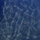 용비치 관광호스텔 이미지