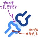 이백세약국 이미지
