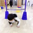 미르태권도스쿨 이미지