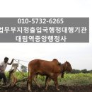 대림역중앙행정사 이미지