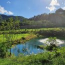 베뉴지CC 이미지