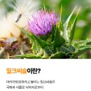 도움플러스