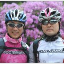 낭만자전거 이미지