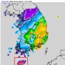 제주 누적 강수량...ㄷㄷ 이미지