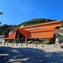 새바지길 | 충주 능암탄산온천 가족탕 노천탕까지 완벽한 가족 온천 여행지