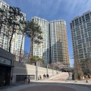 우리 동네 나들이 다같이 줍깅 | 아이들과 함께하는 지구사랑 캠페인 줍깅 보물찾기 후기