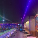 낭만물고기 이미지