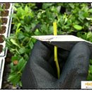 녹지농장 이미지