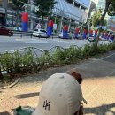 충효태권도 | 한국수력원자력 체코글로벌봉사단 후기 (1): 서류 준비와 면접, 그리고 3박 4일 연수