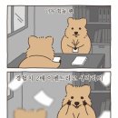 동진(아) | 동진쎄미켐 최종 면접후기