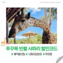 인터넷타임 | 푸꾸옥 빈펄 사파리 | 피크타임 QR 티켓 예약 후기 및 이용팁