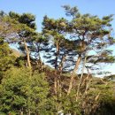 북문 상99호(비11호) | 범어사 산책[梵魚寺散策]