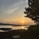 섬집오후 | [제주/조천] 제주도 바다뷰 숙소 | 바다를 바로 앞에서 즐기는 독채 섬집오후 내돈내산 후기