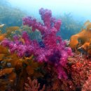 주식회사 한국교육여행사 이미지