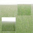 초록빛목장 이미지